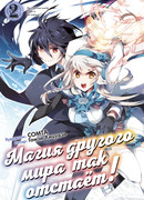 Магия другого мира так отстаёт! Том 2